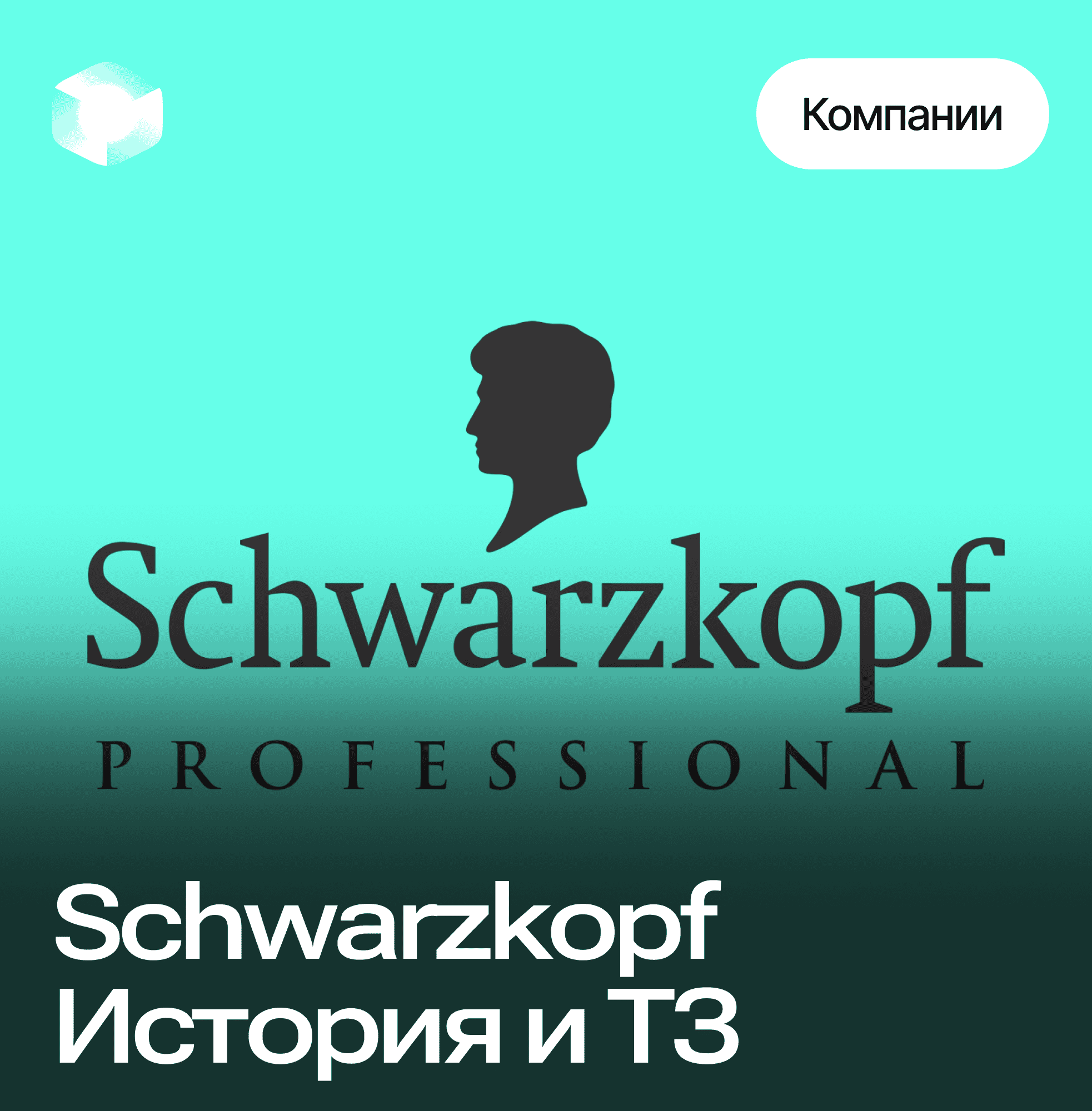 Бренд Schwarzkopf, история которая изменила мир